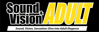 Sound And Vision Adult Logo